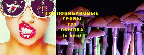 индика Алзамай