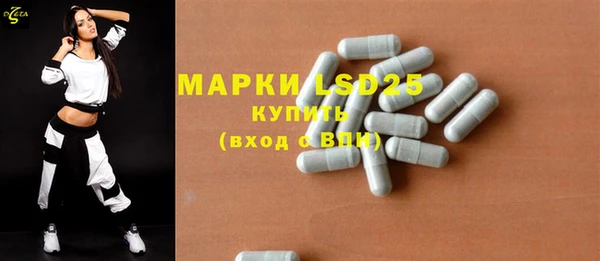 индика Алзамай