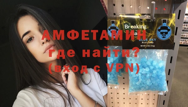 индика Алзамай