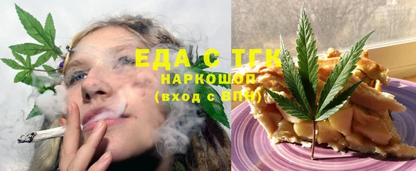 индика Алзамай