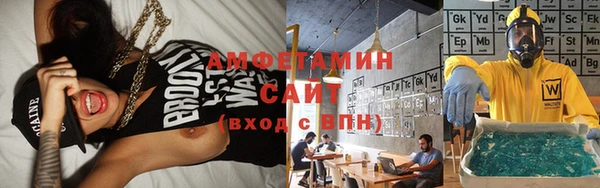 индика Алзамай